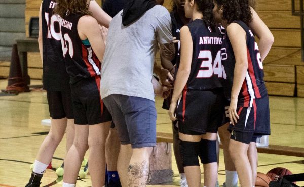 Professional Team Coaching (27)