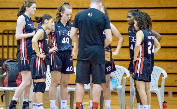 Professional Team Coaching (32)