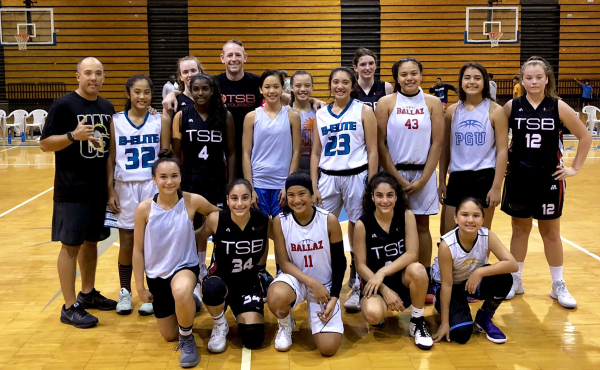 Professional Team Coaching (34)